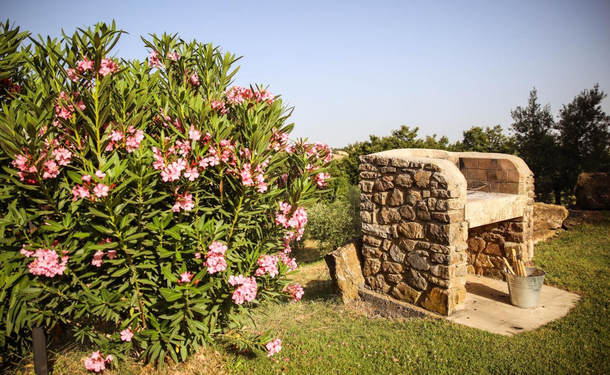 Bio Poggio Aione